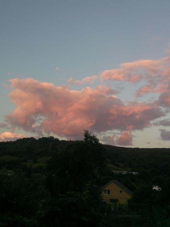 Pensiunea Sighisoara Luaran gambar