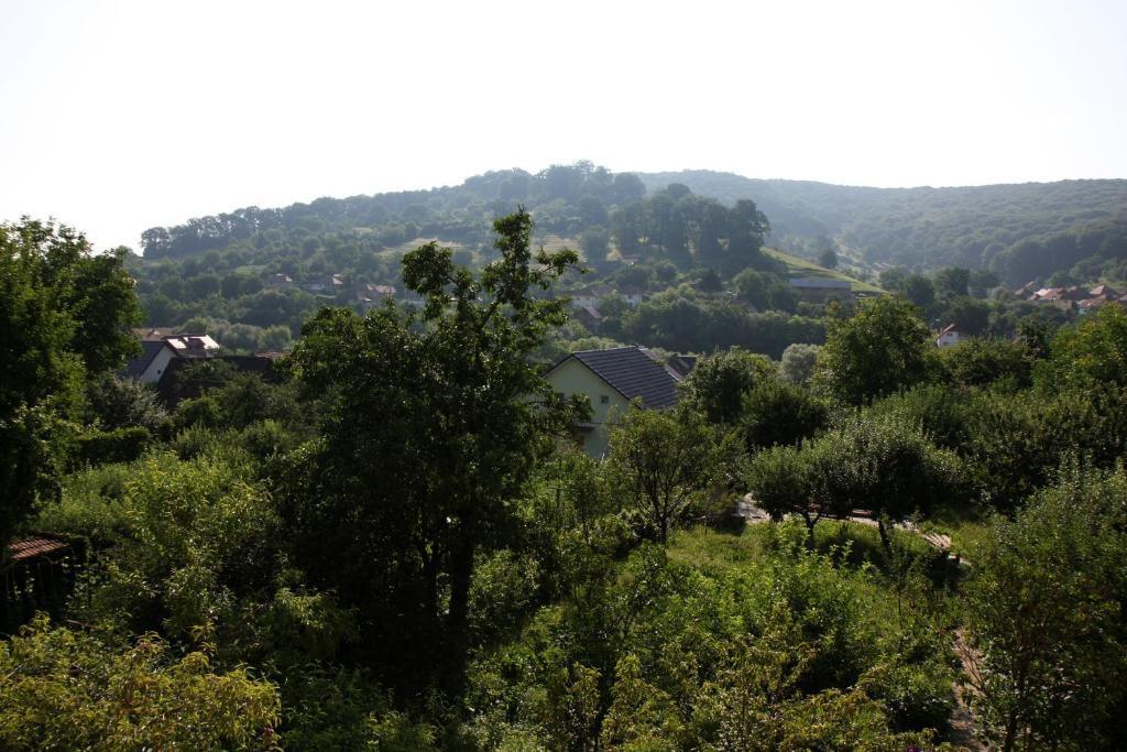 Pensiunea Sighisoara Luaran gambar