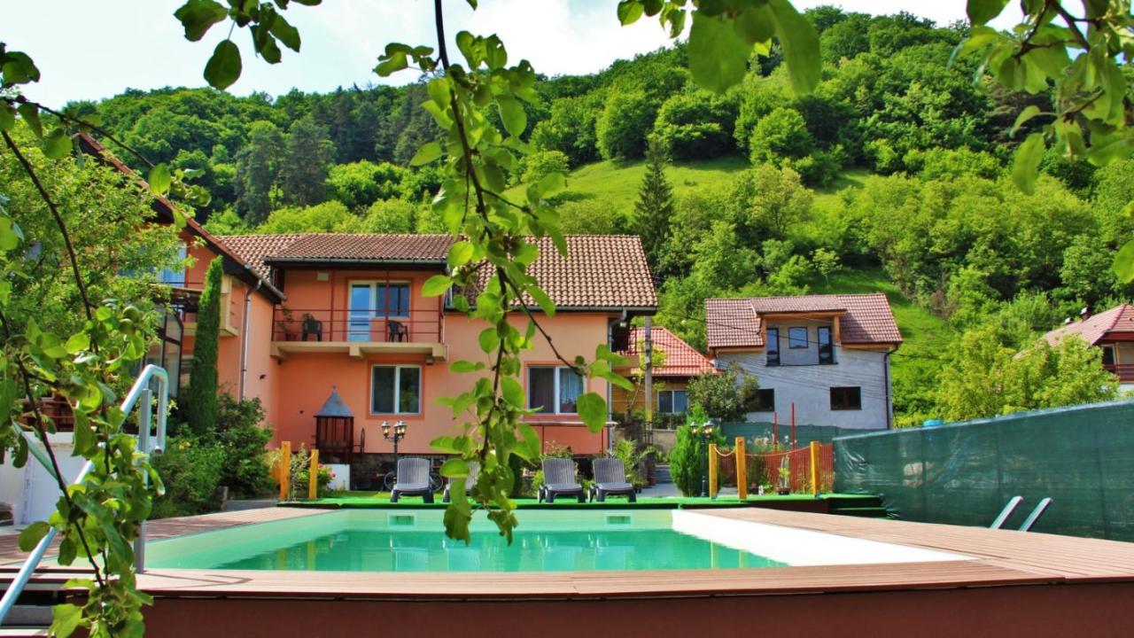 Pensiunea Sighisoara Luaran gambar